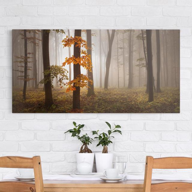 November Forest - Wrapped Canvas Art Prints Union Rustic Size: 50cm H x 100cm W on Productcaster.