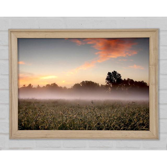 Early Morning Fog - Print August Grove Size: 84.1cm H x 118.9cm W x 1.5cm D on Productcaster.