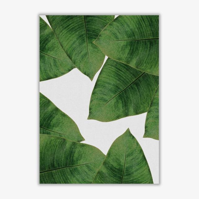 Banana Leaf II - Graphic Art Print on Paper East Urban Home Format: No Frame, Size: 30 cm H x 21 cm W x 1 cm D on Productcaster.