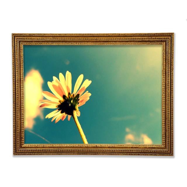 Summer Flower Retro Sunshine - Single Picture Frame Art Prints Ebern Designs Size: 29.7cm H x 42cm W x 3cm D on Productcaster.