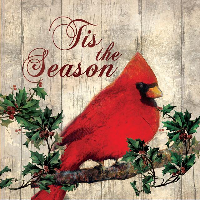 Tis The Season Cardinal - Wrapped Canvas Print The Seasonal Aisle Size: 91cm H x 91cm W x 3.8cm D on Productcaster.