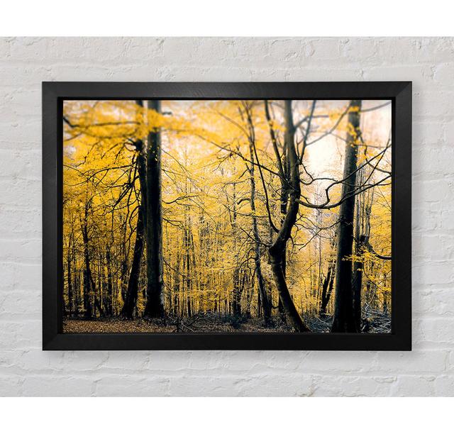 Alone In The Jungle - Single Picture Frame Art Prints Bright Star Size: 59.7cm H x 84.1cm W x 3.4cm D on Productcaster.