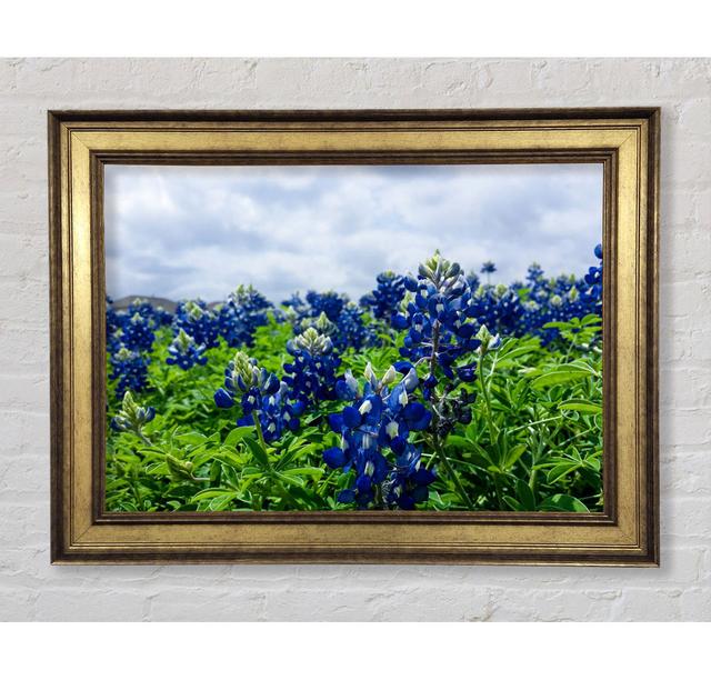 Bue Flowers On Green Stems - Single Picture Frame Art Prints Bright Star Size: 100cm H x 141.4cm W x 8cm D on Productcaster.