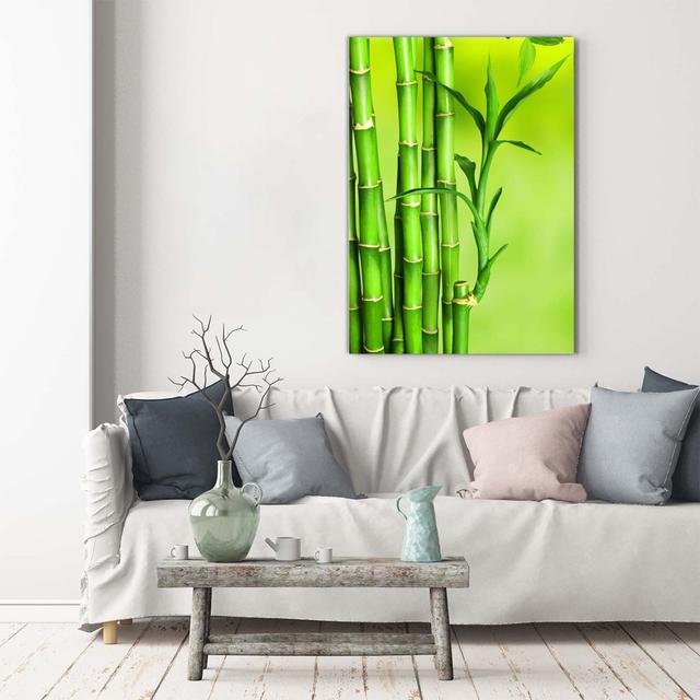 Bamboo - Kunstdrucke auf Leinwand Sansibar Home on Productcaster.