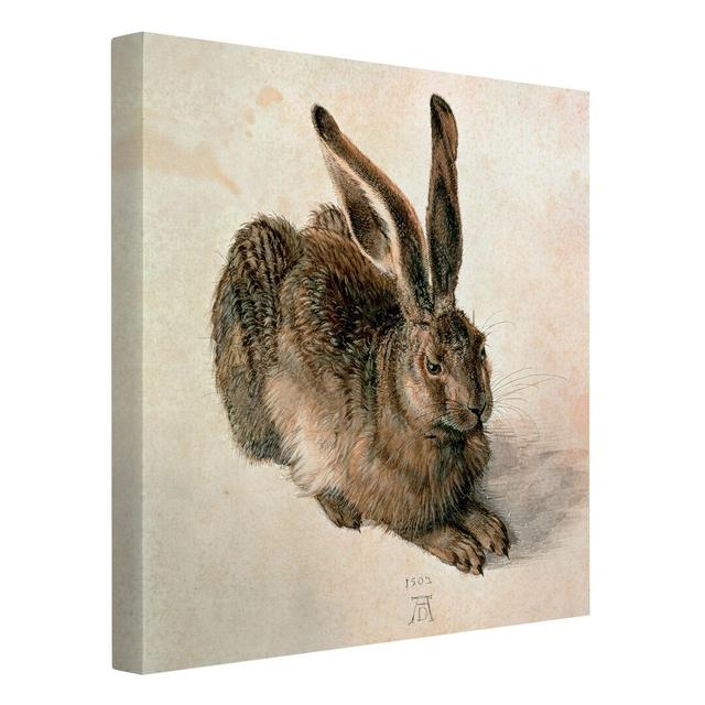 Young Brown Hare by Albrecht Dürer - Wrapped Canvas Graphic Art August Grove on Productcaster.