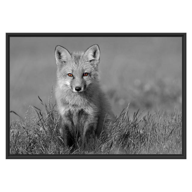 Gerahmtes Wandbild kleiner süßer Fuchs auf Wiese East Urban Home Größe: 70 cm H x 100 cm B on Productcaster.