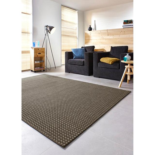 Oxford Dark Grey Rug Sol 27 Outdoor Rug Size: Rectangle 200 x 290cm on Productcaster.