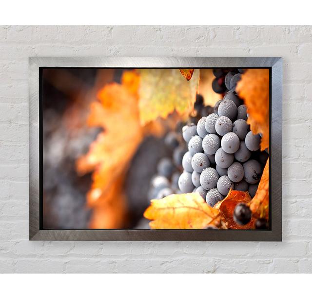 Grapes - Print Bright Star Size: 59.7cm H x 84.1cm W x 3.4cm D on Productcaster.