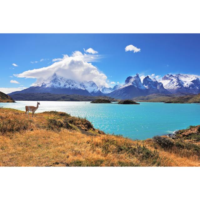 Graceful Silhouette Guanaco On The Lake Pehoe by Sdbower - Wrapped Canvas Print Union Rustic Size: 20cm H x 30cm W x 3.8cm D on Productcaster.