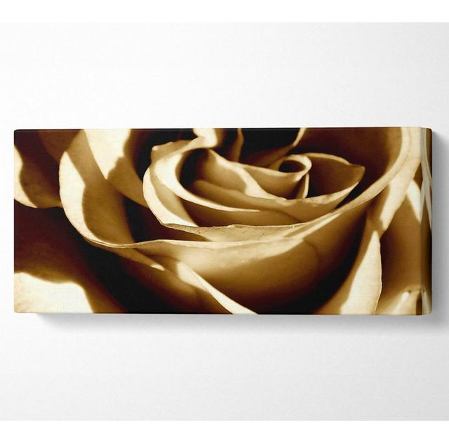 Sepia Rose - Wrapped Canvas Art Prints Gracie Oaks Size: 50.8cm H x 121.9cm W on Productcaster.