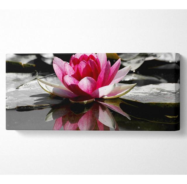 Pink Water Lily Reflections B N W - Wrapped Canvas Art Prints Ebern Designs Size: 50.8cm H x 121.9cm W x 10cm D on Productcaster.