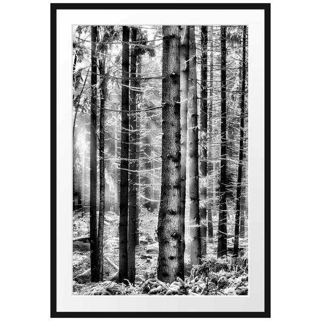 Gerahmtes Poster Winterwald East Urban Home Größe: 100 cm H x 70 cm B on Productcaster.