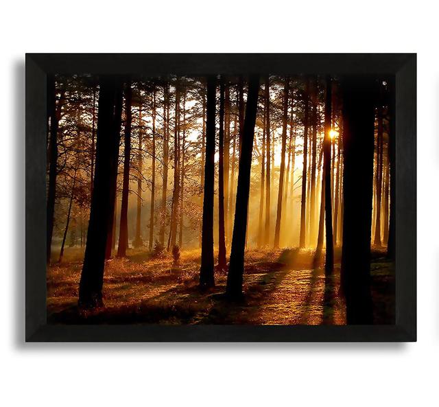 Morning Woodland Sun Mist - Picture Frame Graphic Art on Canvas Union Rustic on Productcaster.