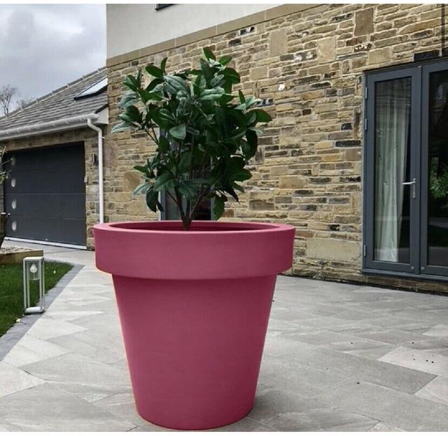 Red Pot Ebern Designs Colour: Pink on Productcaster.