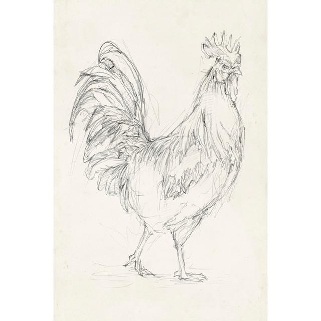 Rooster Sketch I - Wrapped Canvas Art Prints Brambly Cottage Size: 76cm H x 51cm W on Productcaster.