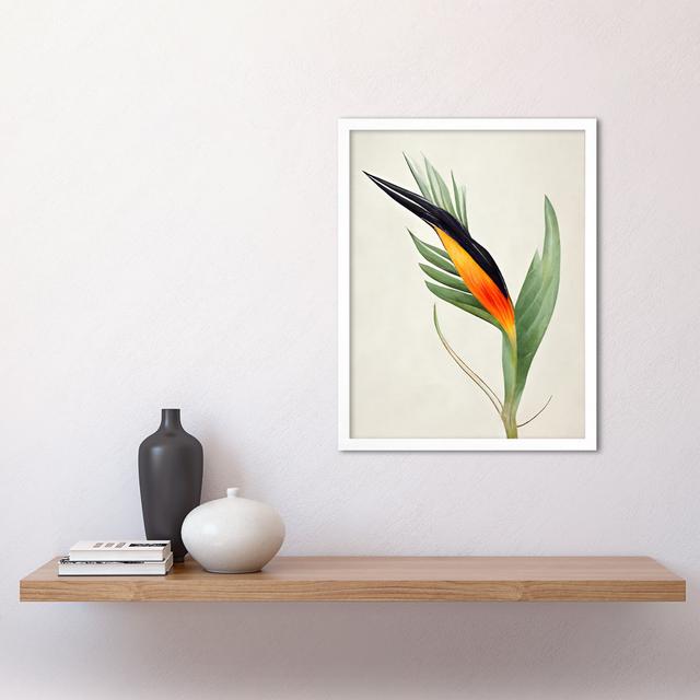 Tropical Bird Of Paradise Flower - Print Wee Blue Coo Size: 43cm H x 33cm W x 2cm D, Format: White Framed Paper on Productcaster.