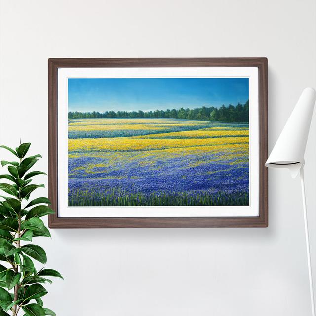 Timeless Bluebell Field - Picture Frame Graphic Art Marlow Home Co. Size: 25cm H x 34cm W x 2cm D, Frame Colour: Walnut Framed on Productcaster.