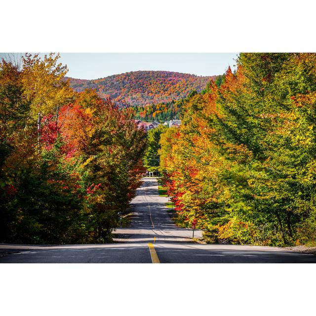 Mont Saint-Sauveur Village In Fall - Wrapped Canvas Print Union Rustic Size: 30cm H x 46cm W x 3.8cm D on Productcaster.