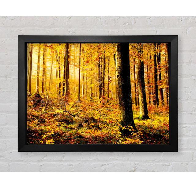 German Forest In Autumn - Single Picture Frame Art Prints Bright Star Size: 100cm H x 141.4cm W x 3.4cm D on Productcaster.