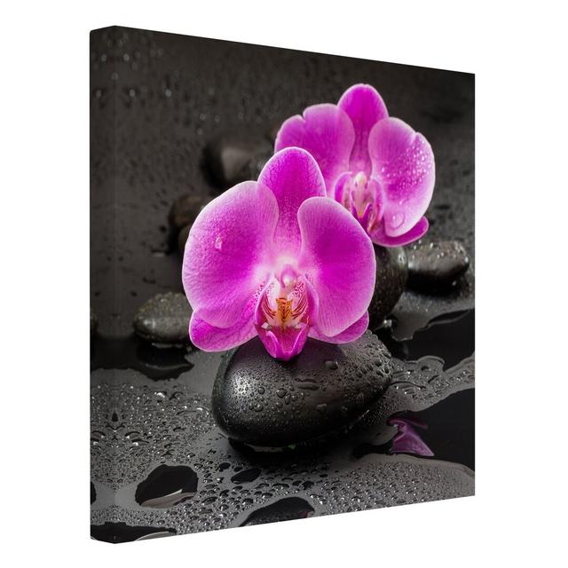 Orchid Flowers on Stones with Droplets - Wrapped Canvas Art Prints Ebern Designs Size: 40cm H x 40cm W on Productcaster.