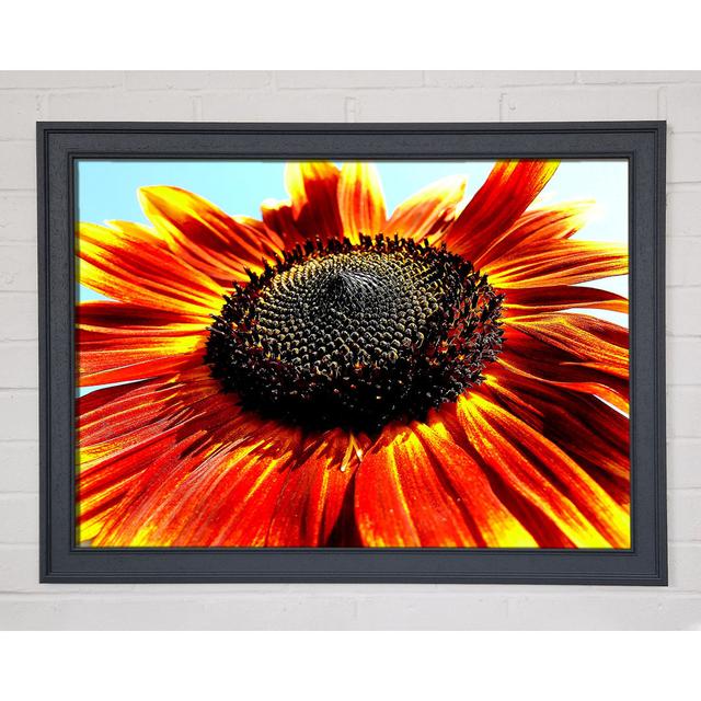 Die Sonnenblume - Einzelner Bilderrahmen Kunstdrucke Sommerallee Größe: 59,7 cm H x 84,1 cm B on Productcaster.