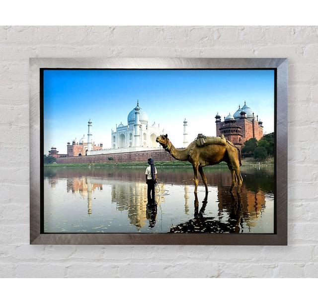 Yamuna River Agra India - Print Bright Star Size: 59.7cm H x 84.1cm W on Productcaster.