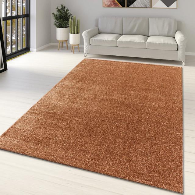 Daedalus Brown Rug Ebern Designs Rug Size: Rectangle 80 x 150cm on Productcaster.