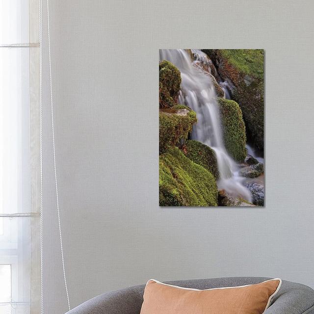 Mossy Waterfall by Brian Wolf - Wrapped Canvas Print Union Rustic Size: 66.04cm H x 45.72cm W x 1.91cm D on Productcaster.