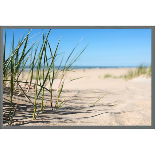 Deshields Grass in the Sand Dunes with the Lake in the Background - Single Picture Frame Art Prints House of Hampton Size: 76cm H x 114cm W x 4cm D, F on Productcaster.