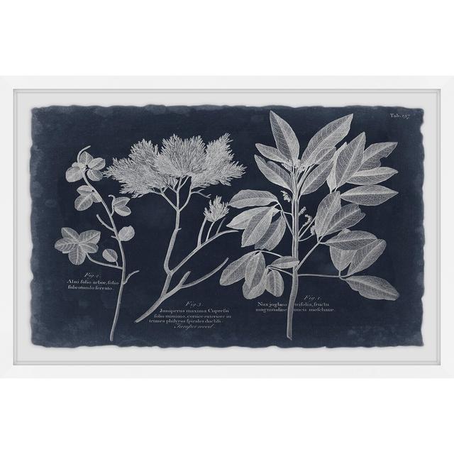 Foliage on Navy VII - Picture Frame Painting Print on Paper East Urban Home Size: 61 cm H x 91 cm W x 4 cm D on Productcaster.