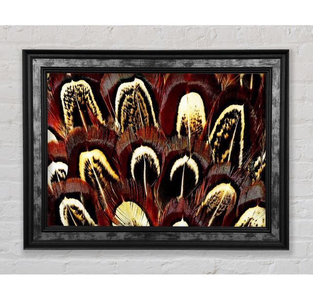 Feather Fan - Single Picture Frame Art Prints Bright Star Size: 29.7cm H x 42cm W x 8cm D on Productcaster.