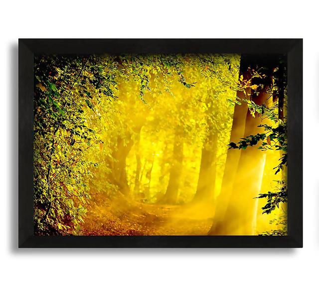 Enchanted Forest - Picture Frame Photograph on Canvas Union Rustic Size: 60cm H x 84cm W x 10cm D on Productcaster.