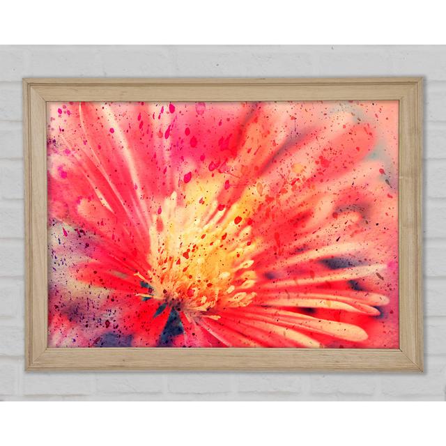 Stunning Red Flower With Yellow Center Framed Print Rosalind Wheeler Size: 84.1" H x 118.9" W on Productcaster.