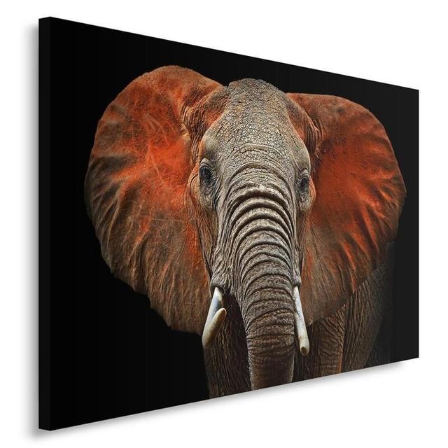 Leinwandbild Elephant 1 ModernMoments Größe: 60 cm H x 80 cm B on Productcaster.