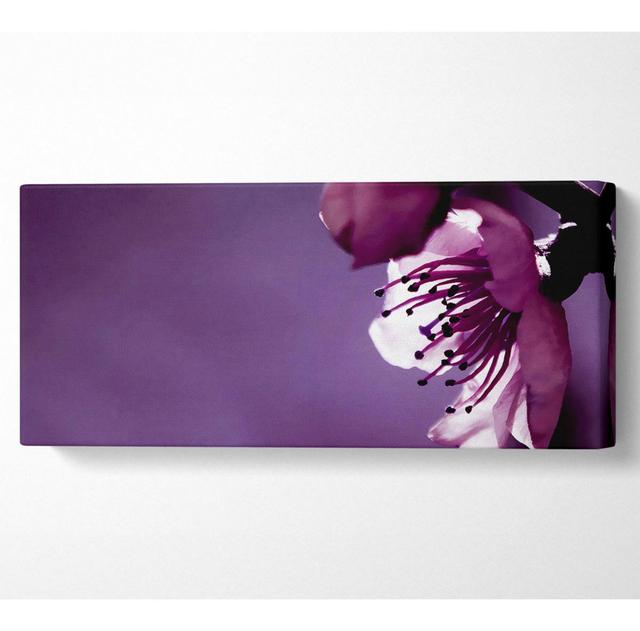 Purple Apple Blossom - Print Ebern Designs Size: 40.6cm H x 101.6cm W x 10cm D on Productcaster.