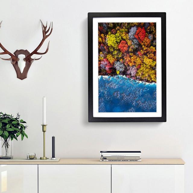 Forest View - Picture Frame Graphic Art Print East Urban Home Frame Option: Black Framed, Size: 48cm H x 36cm W x 2cm D on Productcaster.