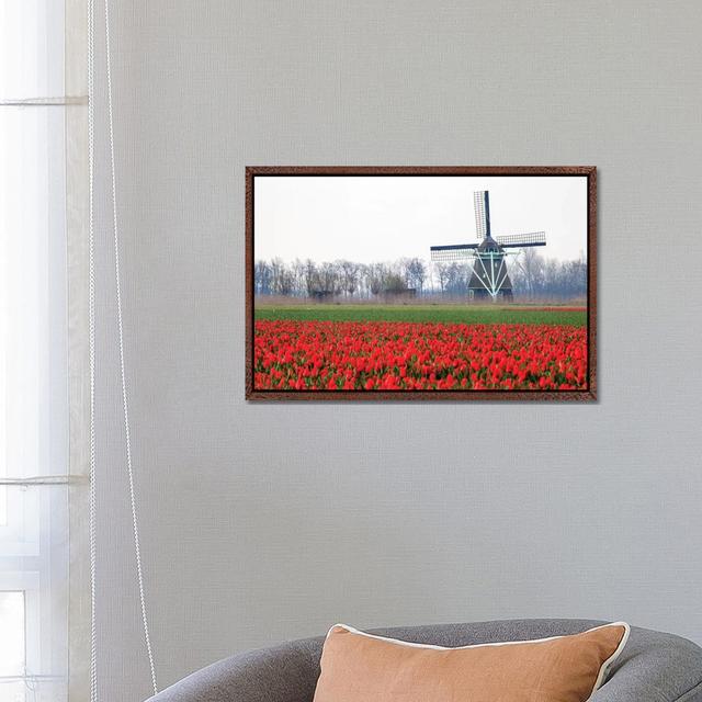 Netherlands, Old Wooden Windmill In A Field Of Red Tulips by Hollice Looney - Gallery-Wrapped Canvas Giclée on Canvas Brambly Cottage Format: Classic on Productcaster.