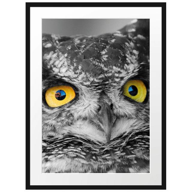 Gerahmtes Wandbild Pretty Long-Eared Owl East Urban Home Größe: 100 cm H x 70 cm B x 2,5 cm T, Farbe: Gelb on Productcaster.