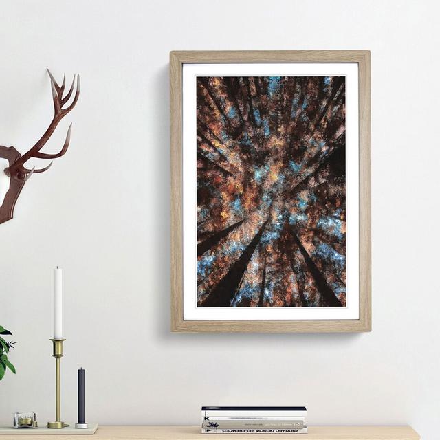 Redwood Forest California - Single Picture Frame Print on MDF East Urban Home Frame Option: Oak Framed, Size: 63cm H x 45cm W x 2cm D on Productcaster.