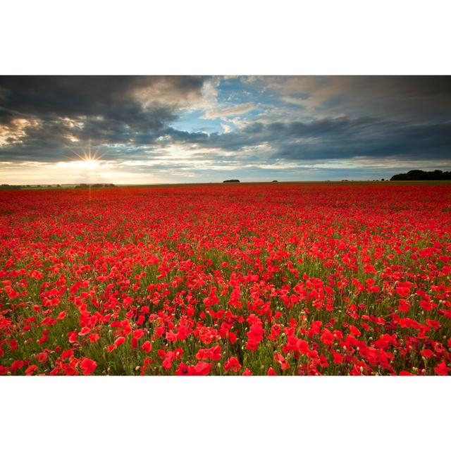 Poppyfield Brambly Cottage Size: 81cm H x 122cm W on Productcaster.