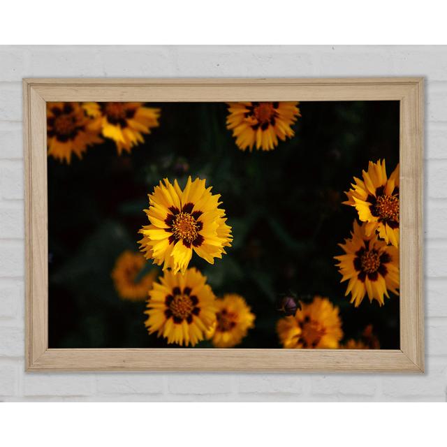 Yellow Flowers In The Dark - Print 17 Stories Size: 21cm H x 29.7cm W x 1.5cm D on Productcaster.