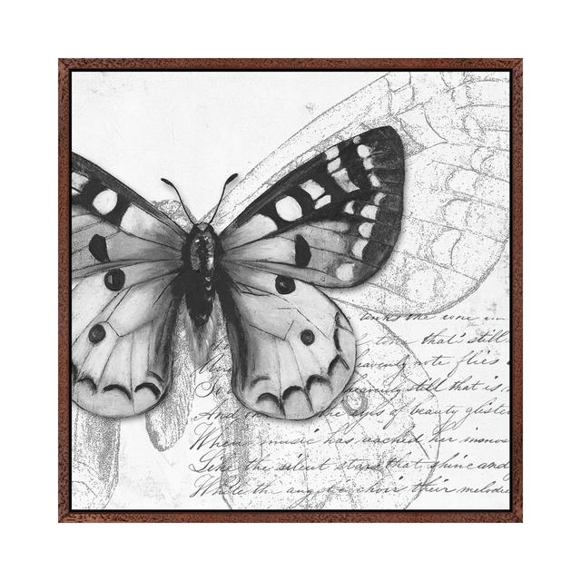 Butterfly Studies I by Patricia Pinto - Gallery-Wrapped Canvas Giclée on Canvas August Grove Size: 66.04cm H x 66.04cm W x 3.81cm D, Format: Classic W on Productcaster.