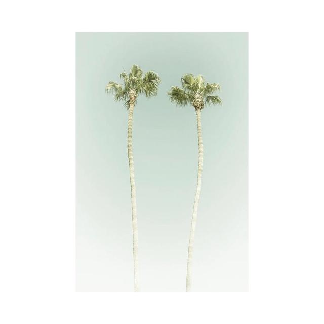 Vintage Palm Trees by Melanie Viola - Wrapped Canvas Photograph ClassicLiving Size: 30.48cm H x 20.32cm W x 1.905cm D on Productcaster.