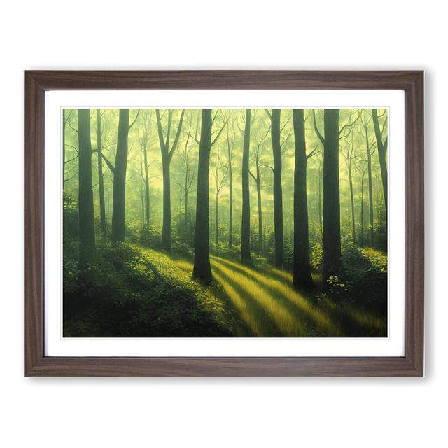 XH1022-7109X Powerful Summer Forest - Single Picture Frame Print Alpen Home Frame Colour: Walnut Framed, Size: 46cm H x 64cm W x 2cm D on Productcaster.