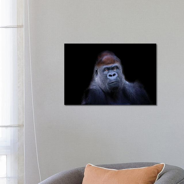 Western Lowland Gorilla by David Whelan - Wrapped Canvas Graphic Art Latitude Run Size: 45.72cm H x 66.04cm W x 1.91cm D on Productcaster.