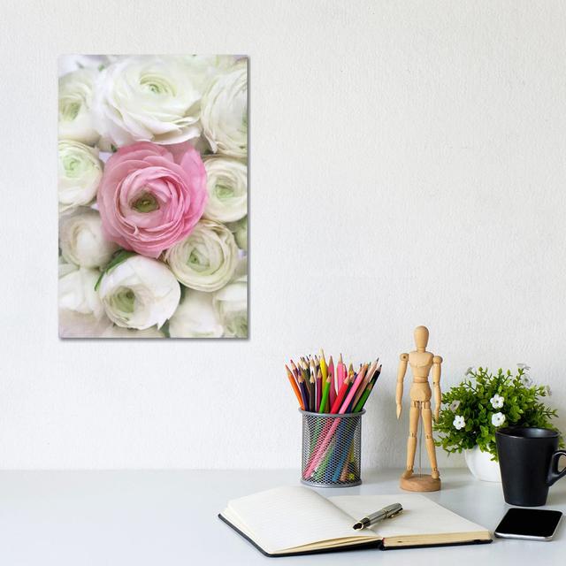 Vintage Ranunculus In White And Pink by Blursbyai - Gallery-Wrapped Canvas Giclée on Canvas Ebern Designs Format: Canvas, Size: 30.48cm H x 20.32cm W on Productcaster.