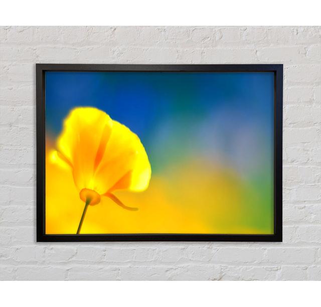 California Poppy Yellow Framed Print Bright Star Size: 84.1cm H x 118.9cm W on Productcaster.