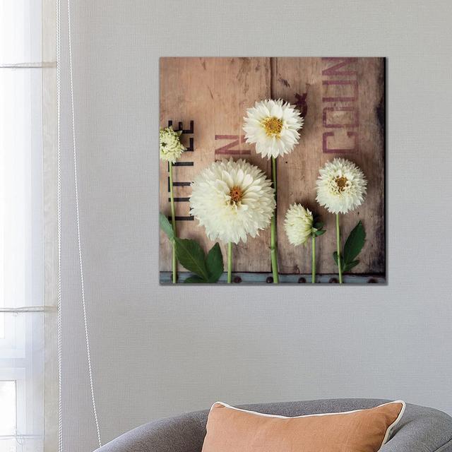 Dahlias In A Row by Mandy Lynne - Wrapped Canvas Gallery-Wrapped Canvas Giclée Latitude Run Size: 66.04cm H x 66.04cm W x 1.91cm D on Productcaster.