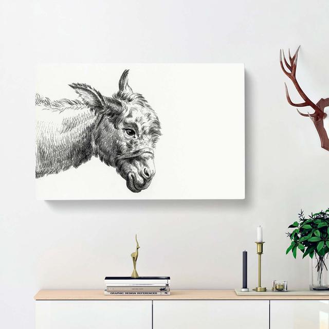 A Head of a Donkey by Jean Bernard - Wrapped Canvas Drawing Print East Urban Home Size: 35cm H x 50cm W x 3cm D on Productcaster.