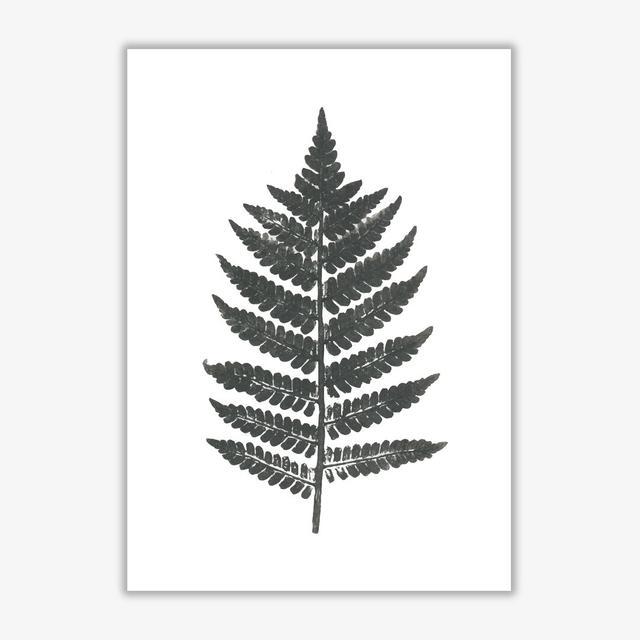 Vintage Fern - Picture Frame Photograph Print on Paper East Urban Home Format: No Frame, Size: 30 cm H x 21 cm W x 1 cm D on Productcaster.